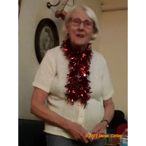 Doreen Fryer